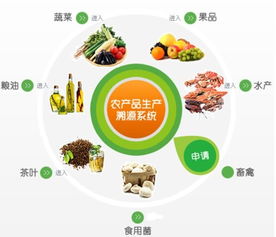 農(nóng)產(chǎn)品追溯系統(tǒng)定制開發(fā) 保障食品安全與提升市場(chǎng)競爭力