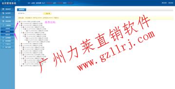 直銷雙軌管理系統軟件開發全解析 功能、廠商與價格指南